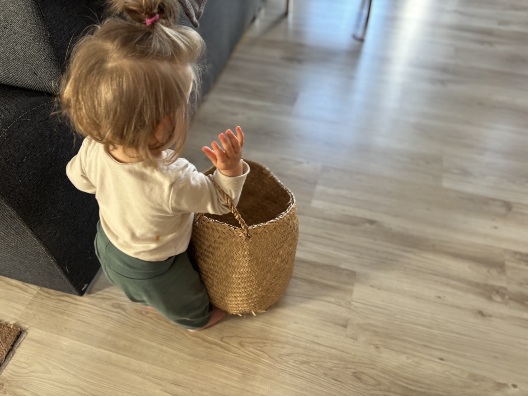 The Heavy Lifters: Why Toddlers Love the Struggle